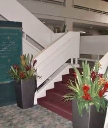 Tropical arrangements in convention center