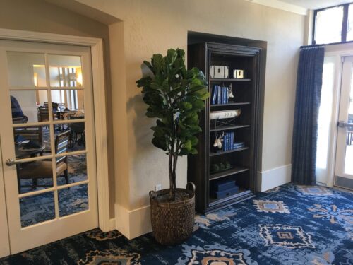 Fiddle Leaf Fig in Basket in hospitality suite