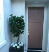 Custom Outdoor Golden Laurel Tree