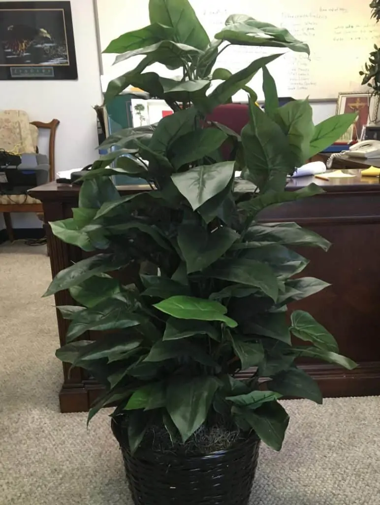 Philodendron Plant silk floor plant