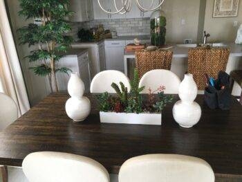artificial Succulent arrangements in custom white box