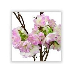 cherry blossom stem
