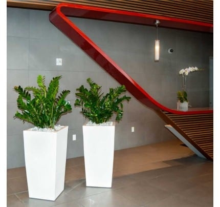 Tall tapered fiberglass planters