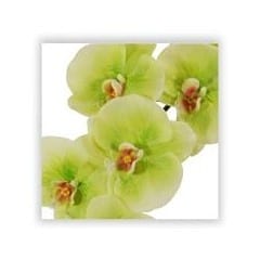 orchid silk flower