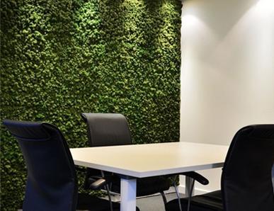 Indoor Artificial boxwood wall