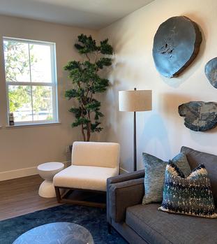 Tips for Decorating a Model Home with plants