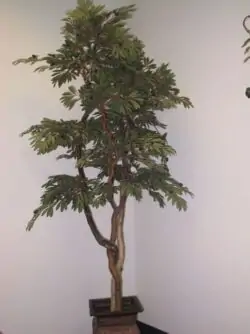 artificial Sculptural olive tree