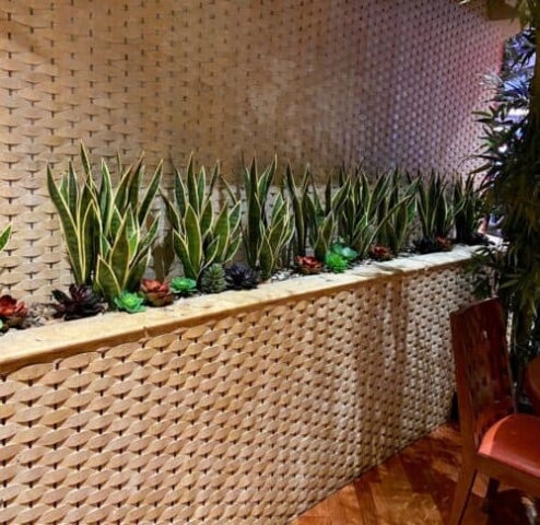 Artificial Sansevieria with succulents