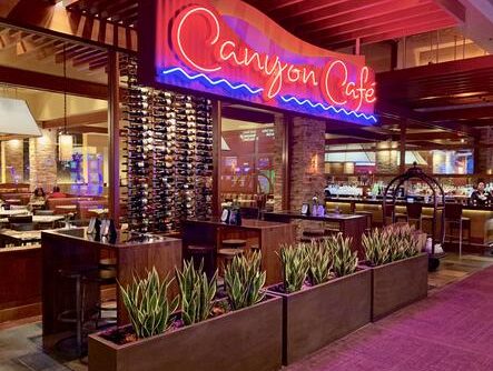 Sansevieria Casino Plantscaping at Canyon Creek Cafe