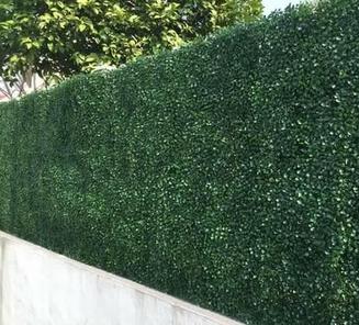 Outdoor artificial green wall - boxwood