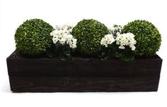 Artificial Boxwood Balls with white flowers