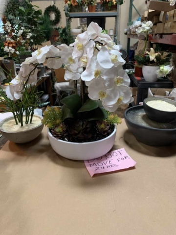 White silk orchid arrangement