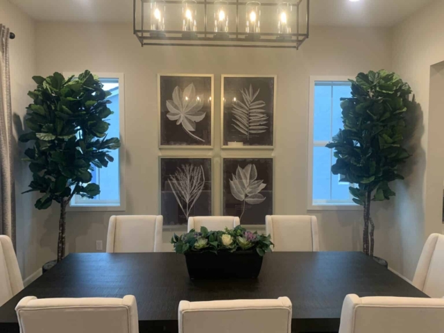 Fiddle Leaf fig trees and succulents in dining room plants for staging a home artificial trees