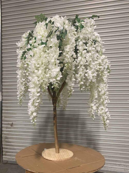 White wisteria bridal tree