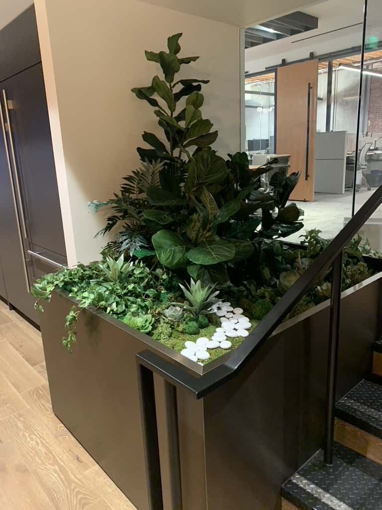 Artificial Brazilian Fiddle Leaf Fig trees, succulents and plants.