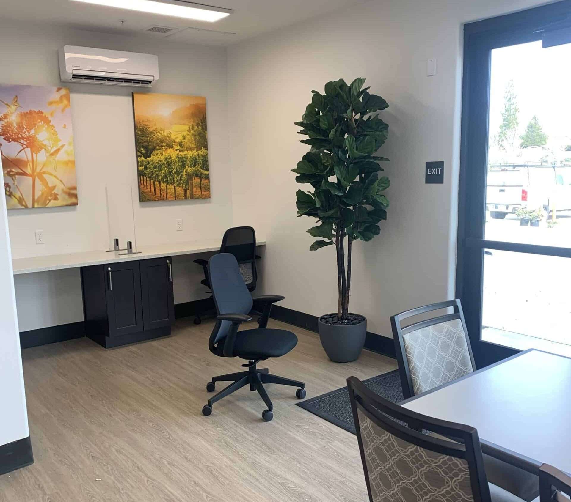 Artificial Fiddle Leaf Fig in Adult Living Facility