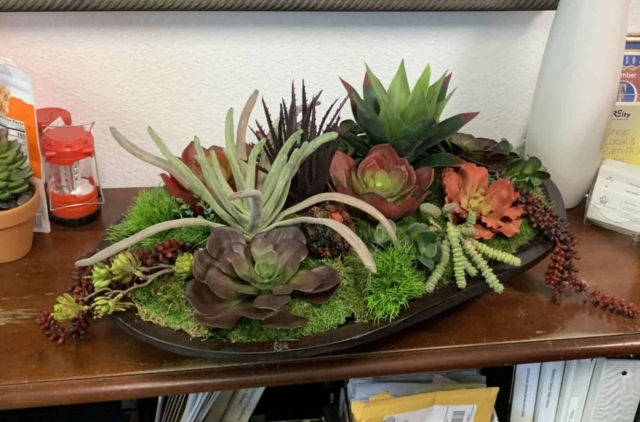 Artificial Succulents on Platter