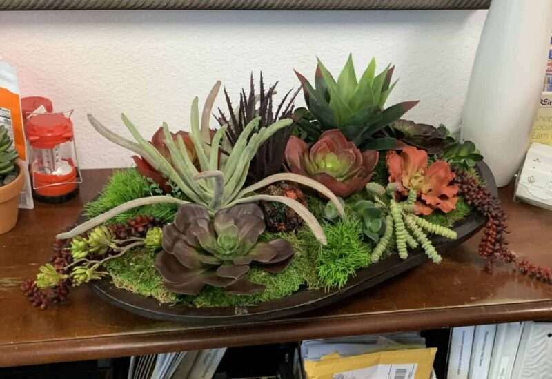Artificial Succulents on Platter