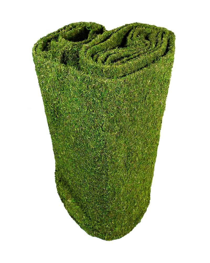 Preserved Moss Mat