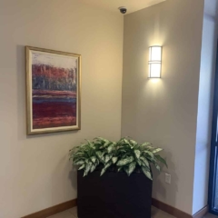 Artificial Silver Queen plants in lateral planter