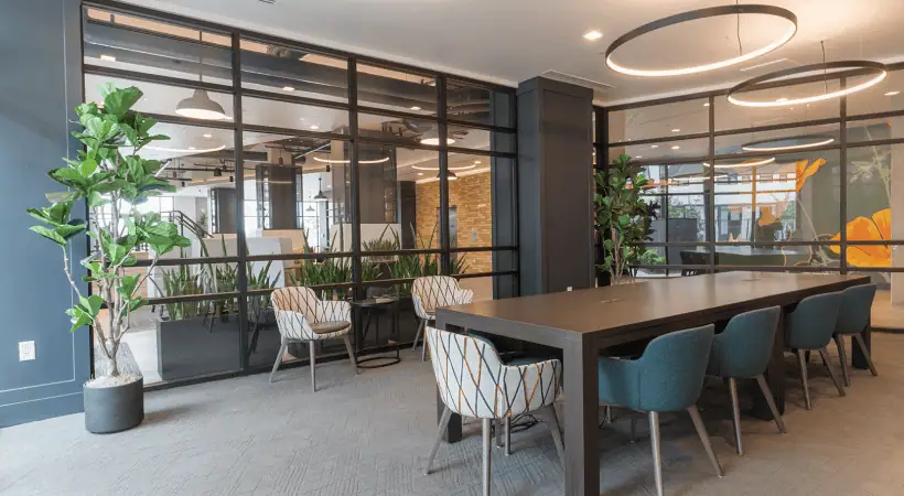 Fiddle leaf at AJ apartments