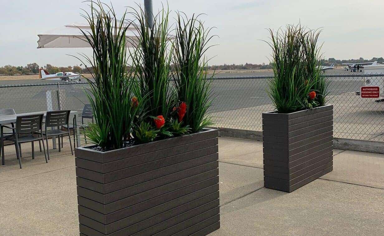 Outdoor Grasses, succulents and bromiliads