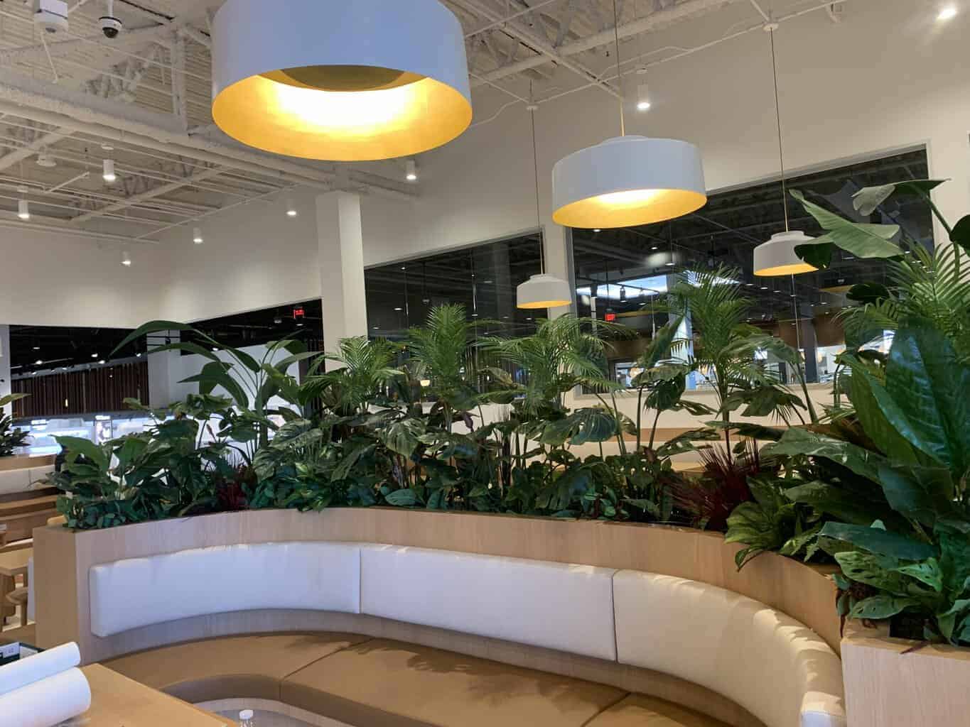 Restaurant Plants