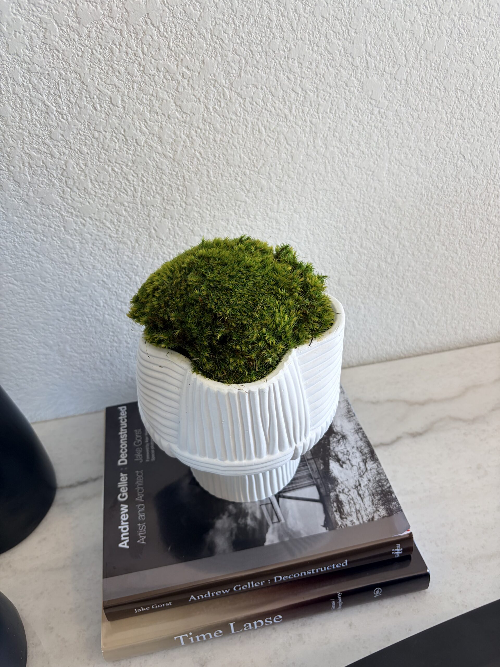 Mood Moss in white round designer bowl