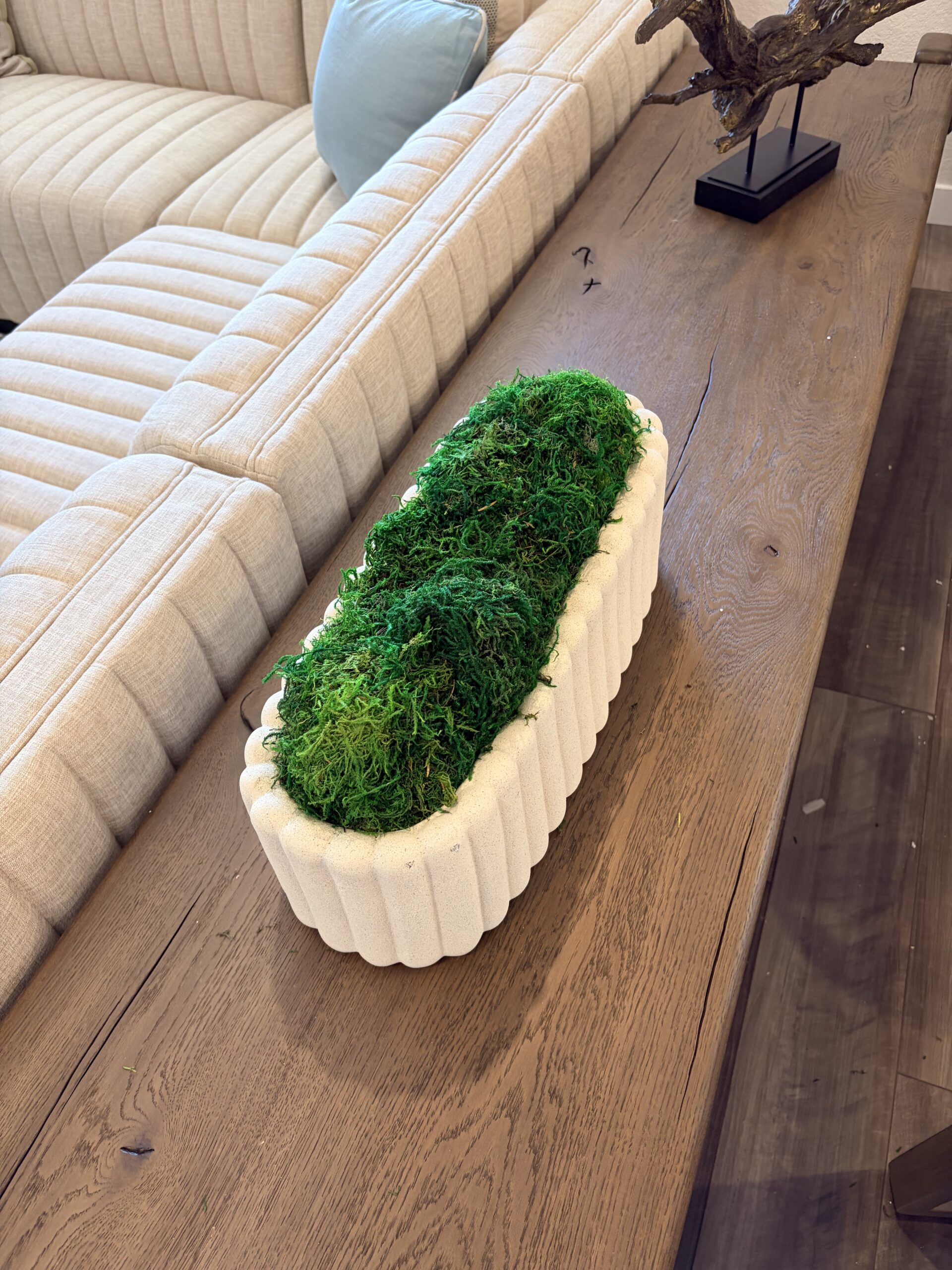 Mood Moss in oval planter