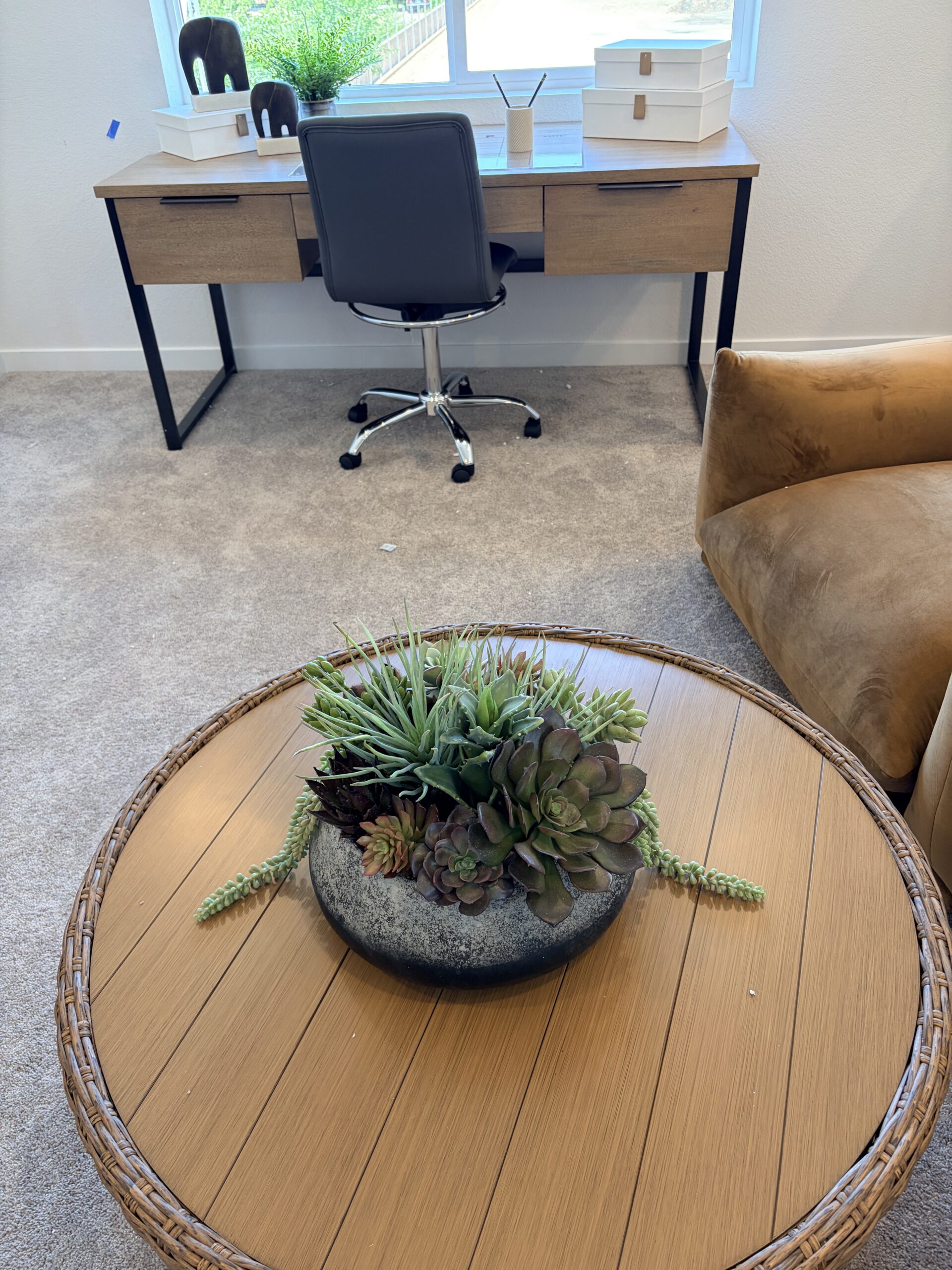 Faux succulents in designer bowl