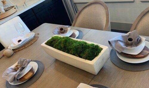 Mood Moss Arrangement plants for staging a home